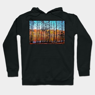 Thru Trees Landscape Hoodie